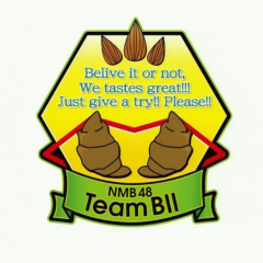 NMB48 チームBⅡ推し！