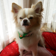 ☆mieko☆