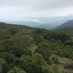 シュンのトーク