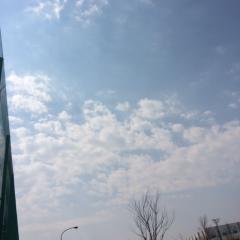 びーの