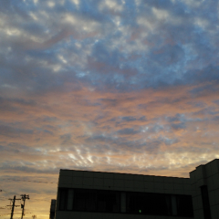 かーたにのトーク