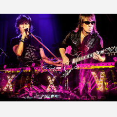 ピンクパンサー