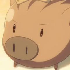 ☆けんけん☆