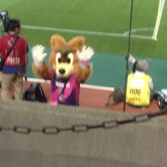 クマクマ