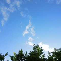 ryuZaneのトーク