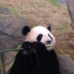 moochanのトーク