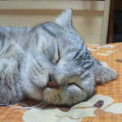 裕（ヒロ）