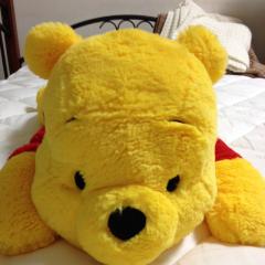 クマさんのトーク