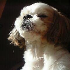 倫太郎のトーク