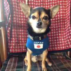 まなぶのトーク