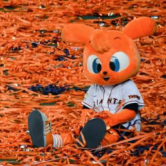 ジャイアンツニュース