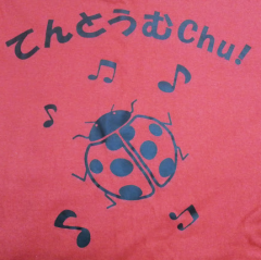 KOJI