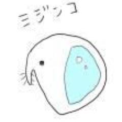 ✩mijinko✩