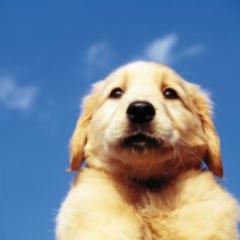 在宅副業から年収1000万メンバーに