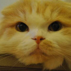 山本純一のトーク