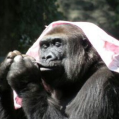 ドラミング魔人