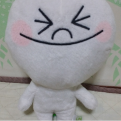 こーだい