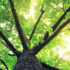 ソーラービーム♪(夢に向かって撮影中)