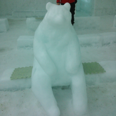 はっしー(あきら)