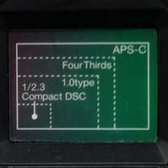 丹Jr.(まことジュニア)