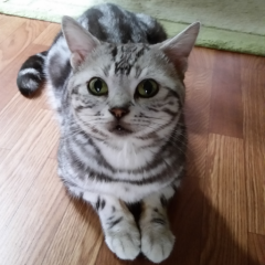 タツキ