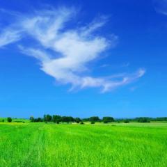 ちゃっきー