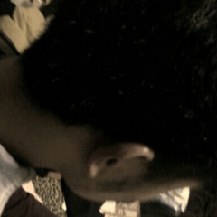 クレヨンシンちゃん