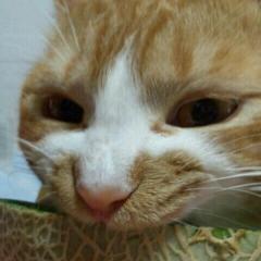 なみちゃん みいちゃものママ