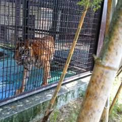 宮崎県民あつまれー