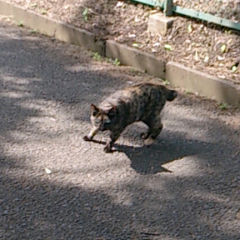 しもん
