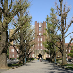 日本の大学ってどうよ？