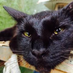 動物大好きな子集まれ~♡