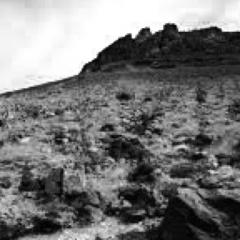 荒れ果てた大地 神秘的な やつ