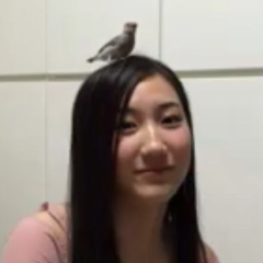 ダックのトーク