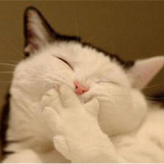 AKB48G（乃木坂）語りましょ～(*^▽^)/★*☆♪