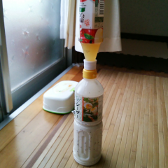 みきてぃのトーク