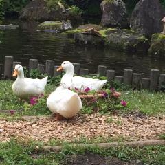 みい