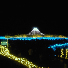 よっちゃんです。