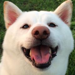 ともてぃんこちゃん