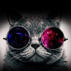 わたぱちトークズ