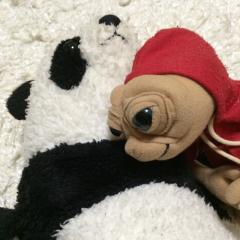 かおりん