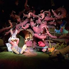 ディズニーふぁんしゅぅごーだぁーっ♡