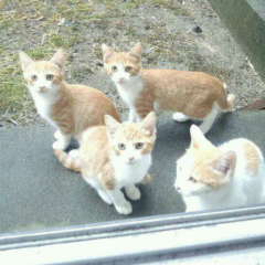 大学生暇人トーク