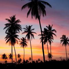 かこみっちゃんの‼︎お悩み相談室 @2015