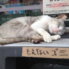 チャーリー