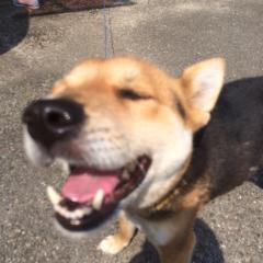 EーNES竹下