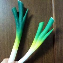 蒼 -SOH- (ネギライバー)