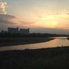 ミケラくん。