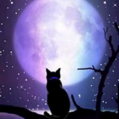 道東の街 夜ふかしトーーク!!