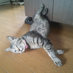 わきっち